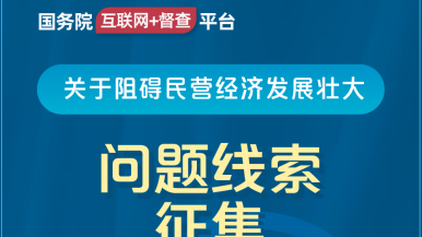 肏屄视频www国务院“互联网+督查”平台公开征集阻碍民营经济发展壮大问题线索